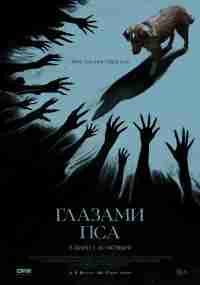 Глазами пса